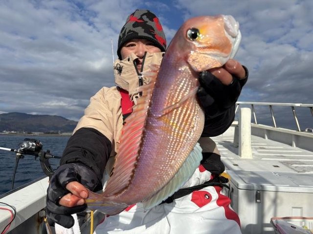 アマダイ(アカアマダイ)