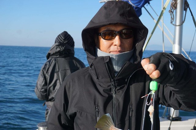 ショウサイフク(ショウサイフグ)