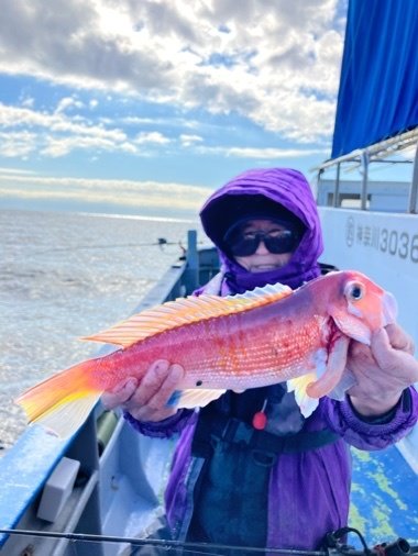 アマダイ(アカアマダイ)