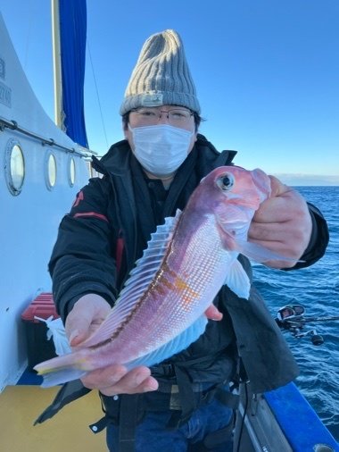 アマダイ(アカアマダイ)