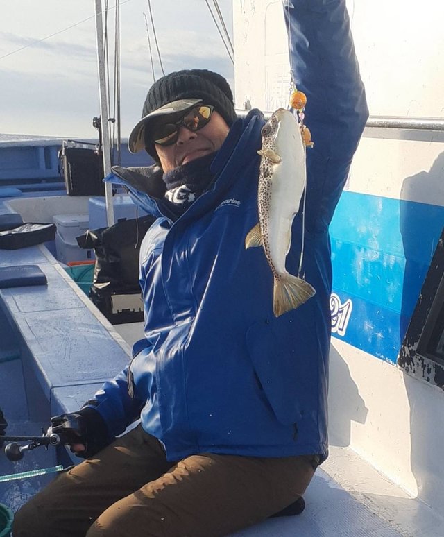 ショウサイフグ