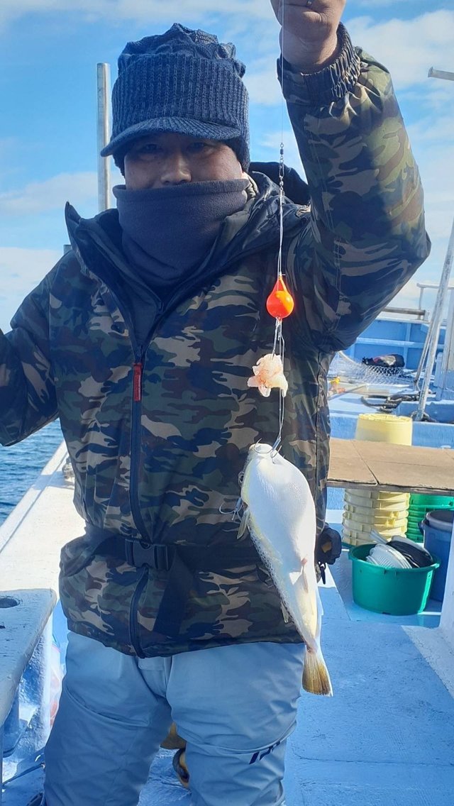 ショウサイフグ