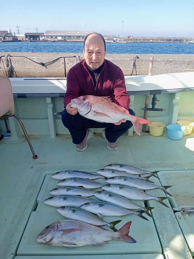 マダイ・ハマチ(ブリ)