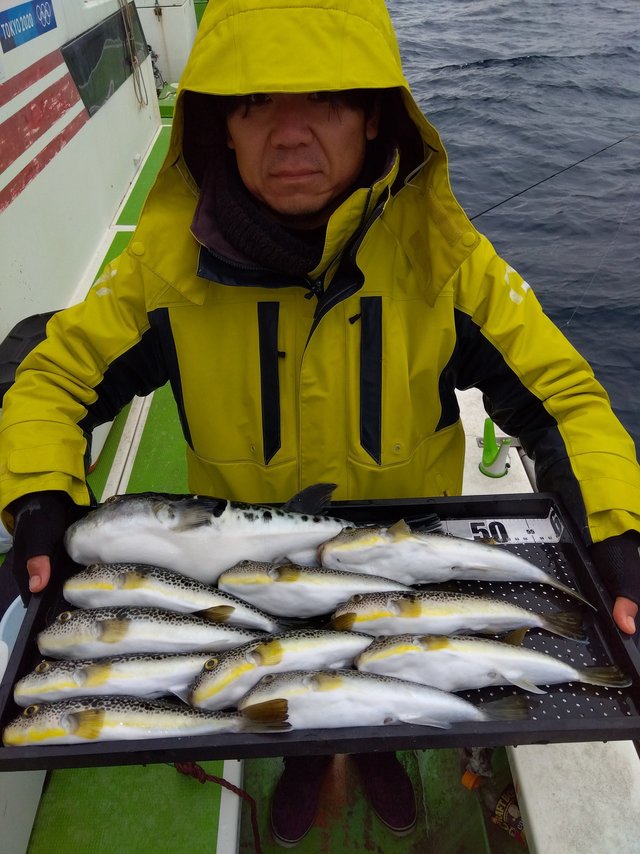 フグ(ショウサイフグ)