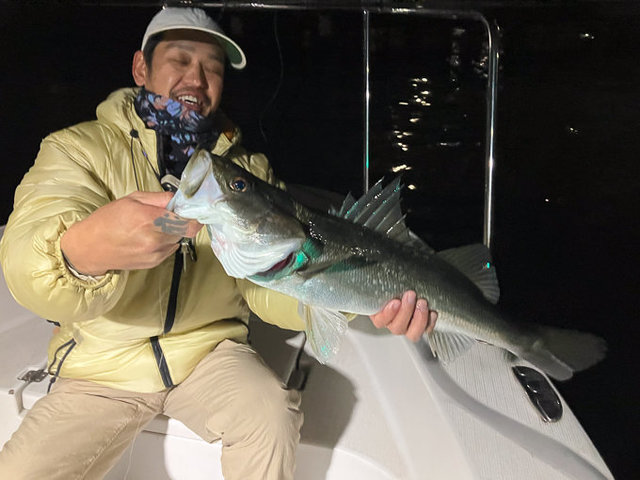 シーバス(スズキ)