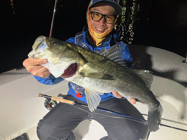 シーバス(スズキ)