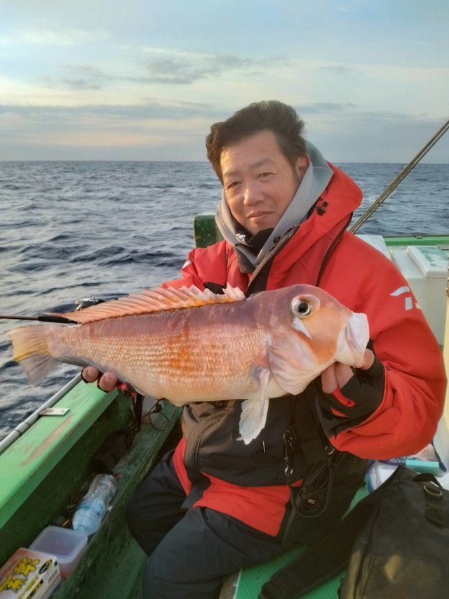 アマダイ(アカアマダイ)