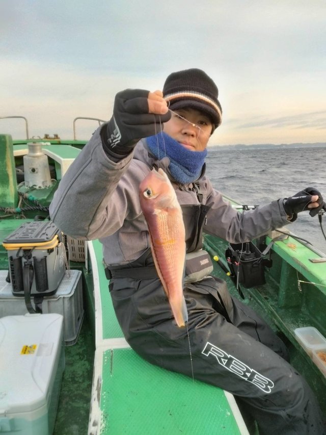 アマダイ(アカアマダイ)