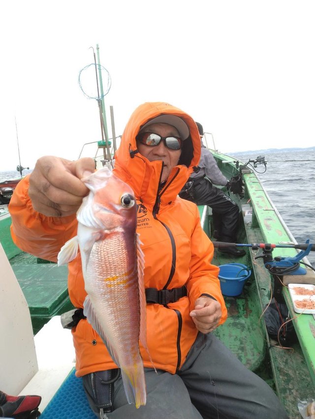 アマダイ(アカアマダイ)