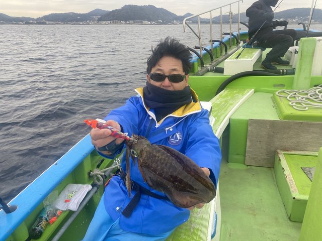 アオリ(アオリイカ)