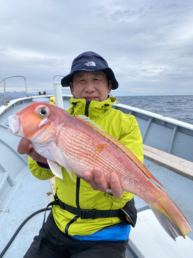 アマダイ(アカアマダイ)