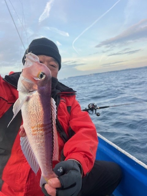 アマダイ(アカアマダイ)