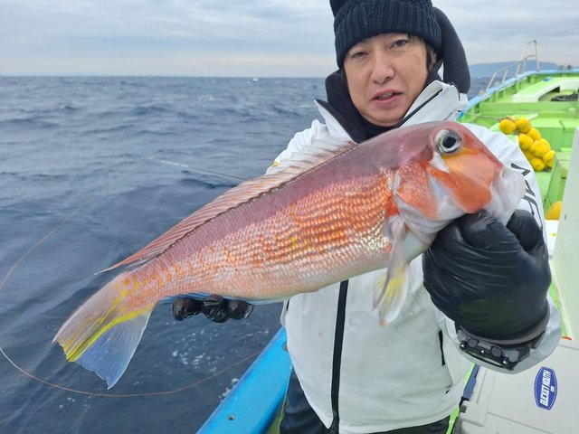 アマダイ(アカアマダイ)