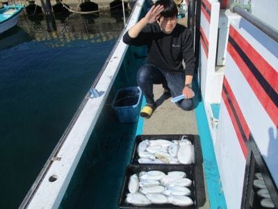 スミイカ(コウイカ)