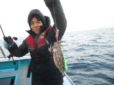 スミイカ(コウイカ)