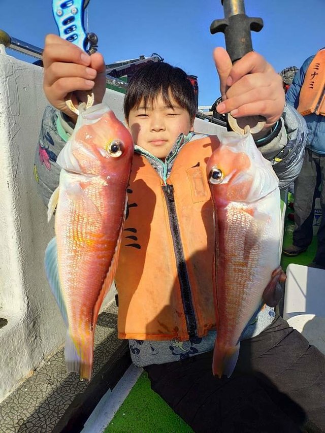 アマダイ(アカアマダイ)