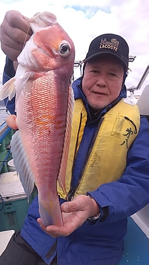 アマダイ(アカアマダイ)