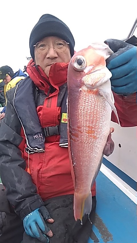 アマダイ(アカアマダイ)