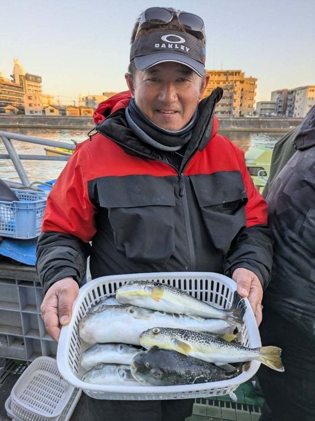 トラフグ・ショウサイフグ