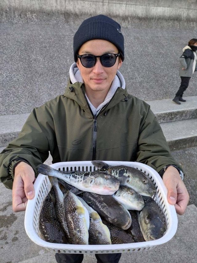 トラフグ・ショウサイフグ