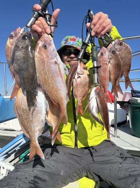 マダイ・メバル