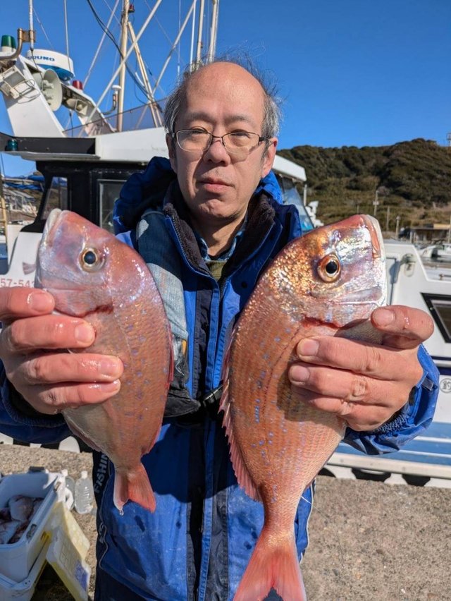 ハナダイ(チダイ)