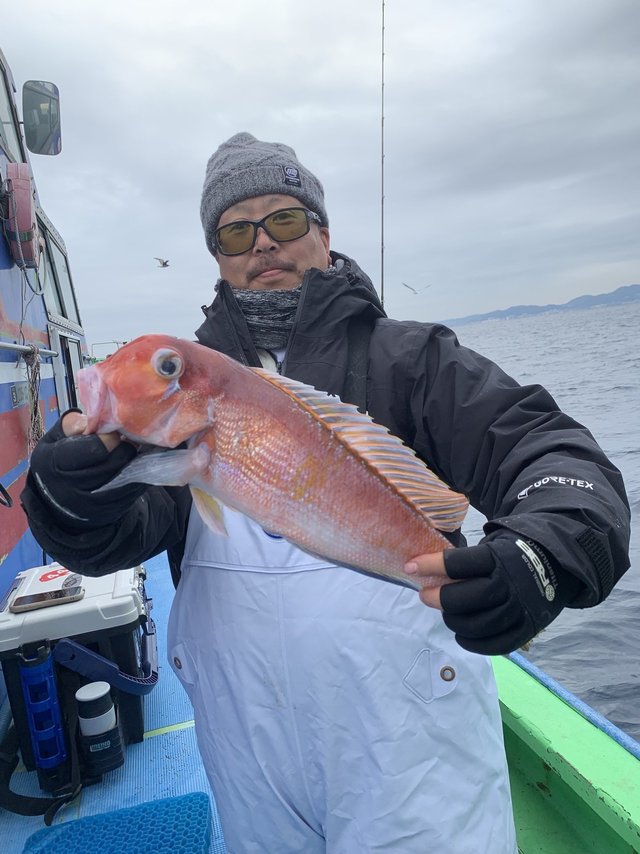 アマダイ(アカアマダイ)