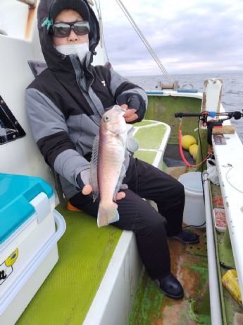 アマダイ(アカアマダイ)