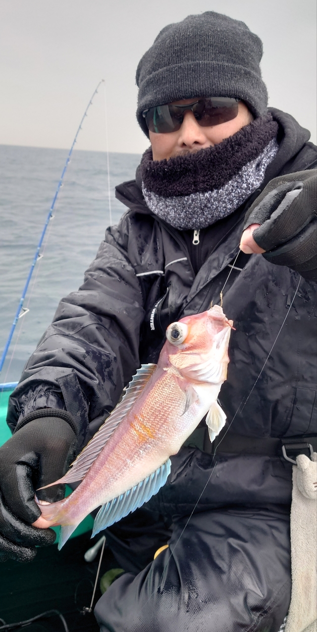 アマダイ(アカアマダイ)