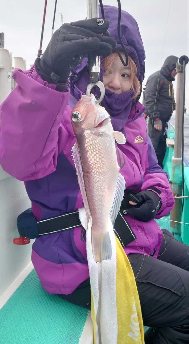 アマダイ(アカアマダイ)