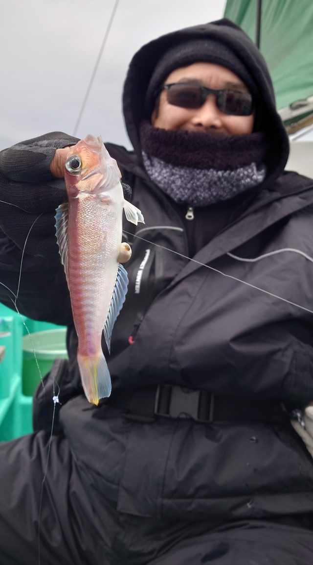 アマダイ(アカアマダイ)