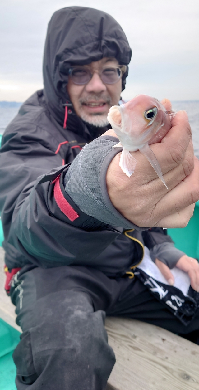 アマダイ(アカアマダイ)