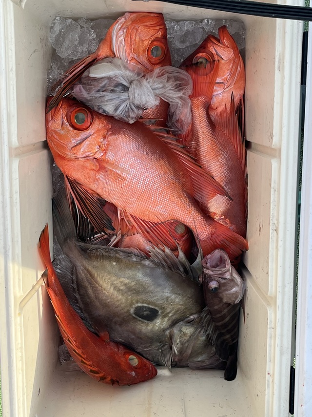 キンメ(キンメダイ)