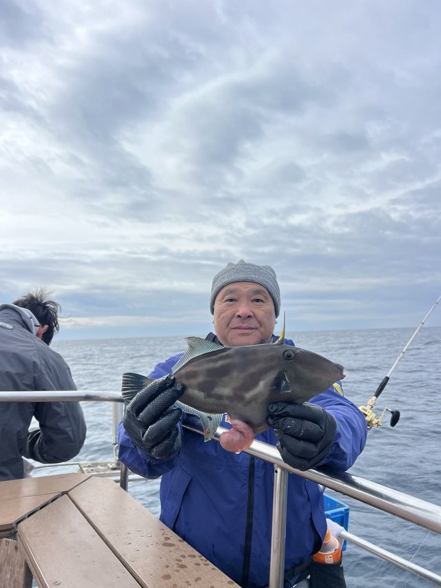 ウマズラハギ(ウマヅラハギ)