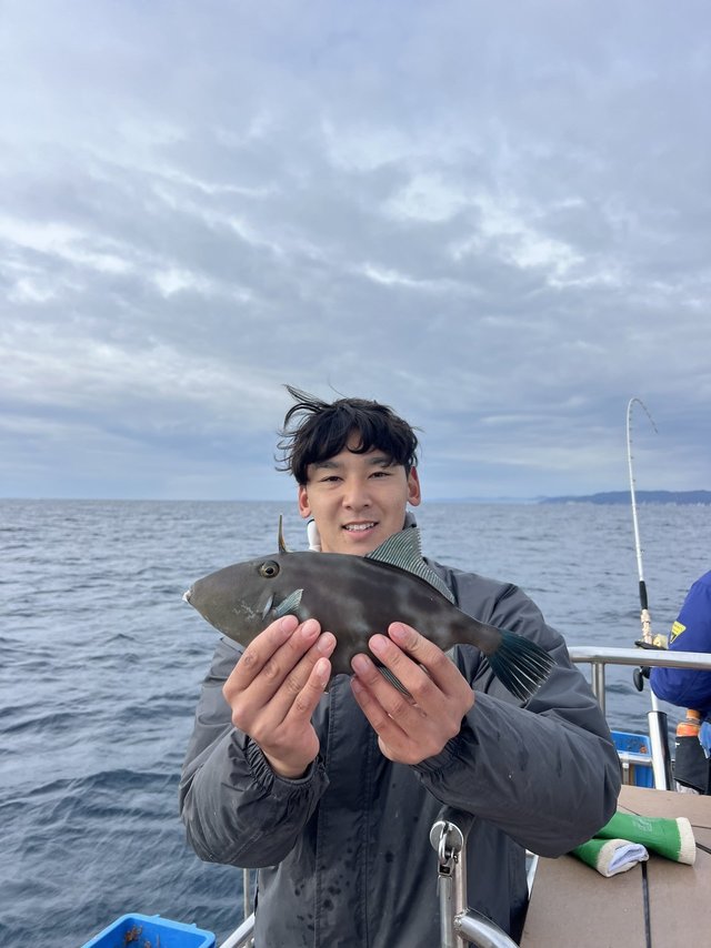 ウマズラハギ(ウマヅラハギ)