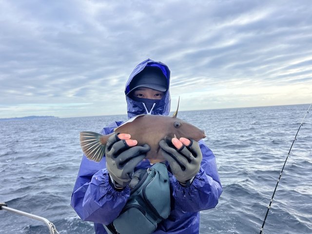 ウマズラハギ(ウマヅラハギ)