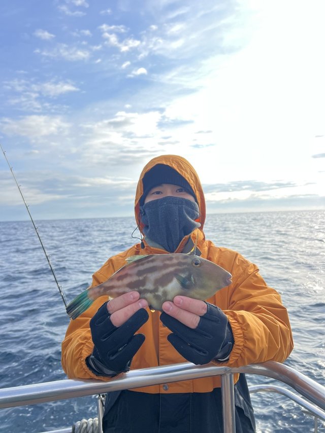 ウマズラハギ(ウマヅラハギ)