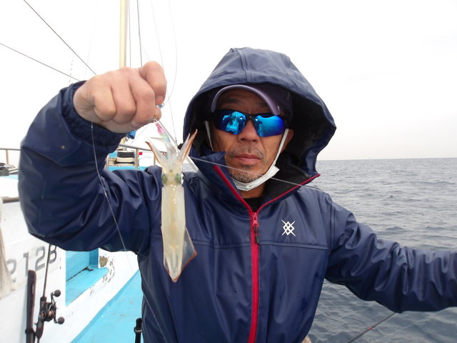 マルイカ(ケンサキイカ)