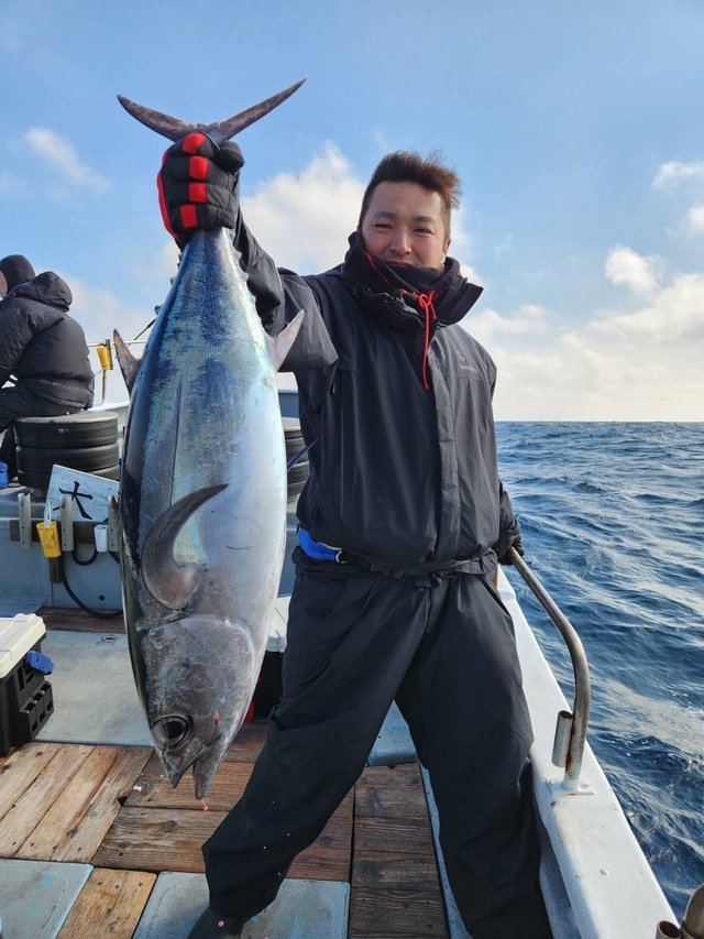 トンボ(ビンナガ)