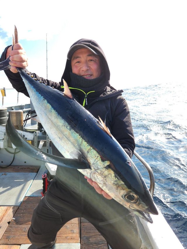 トンボ(ビンナガ)