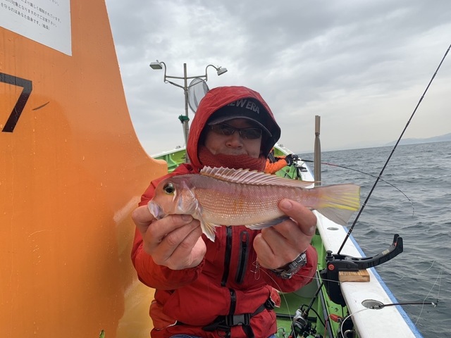 アマダイ(アカアマダイ)