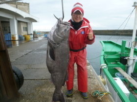 アブラボーズ(アブラボウズ)