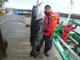 アブラボーズ(アブラボウズ)