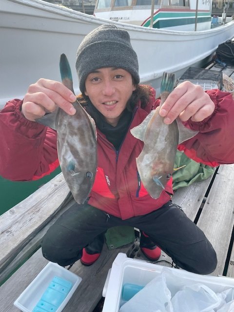 ウマヅラ(ウマヅラハギ)