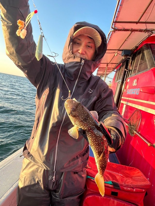 フグ(ショウサイフグ)