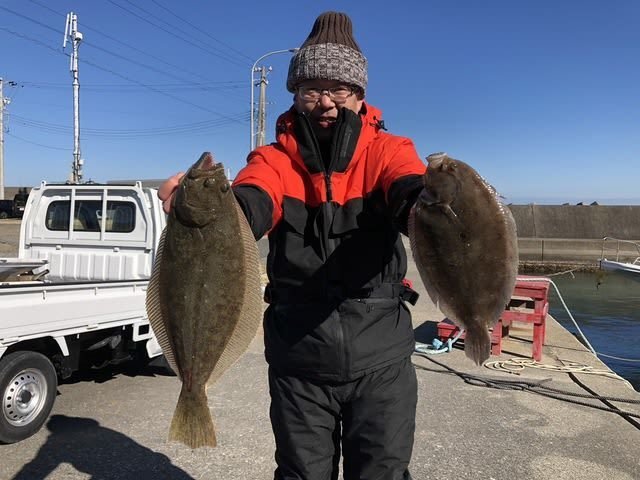 ヒラメ・ガンゾウビラメ