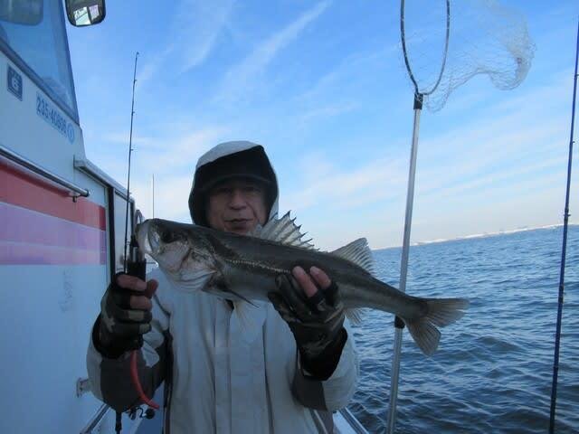 シーバス(スズキ)