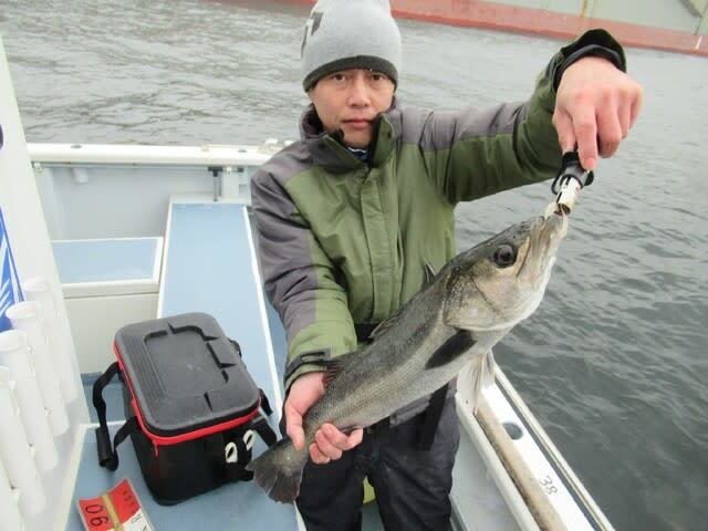 シーバス(スズキ)