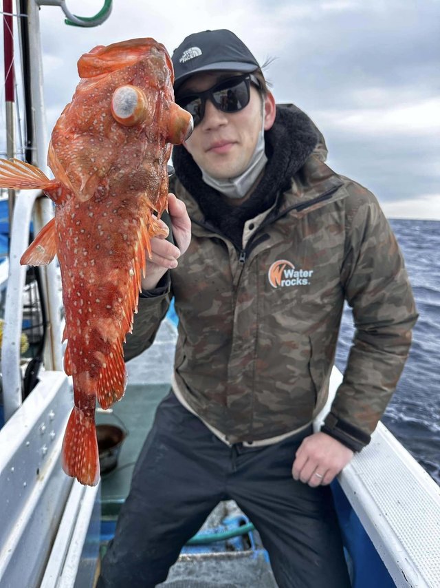 ウッカリカサゴ