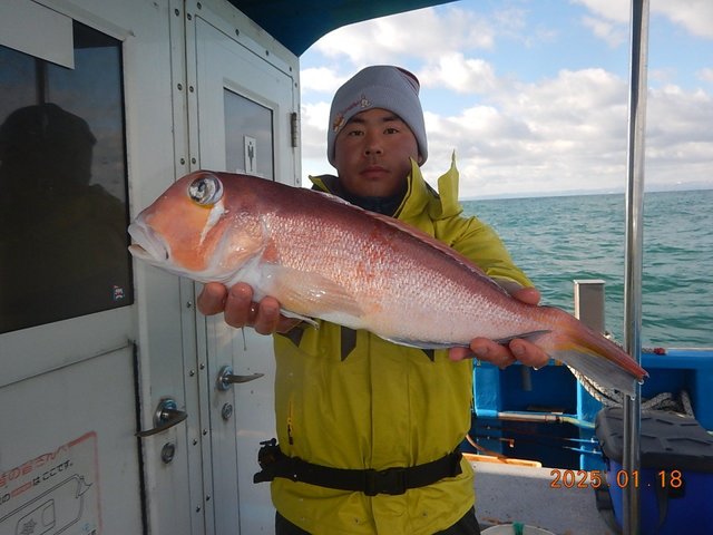 アマダイ(アカアマダイ)